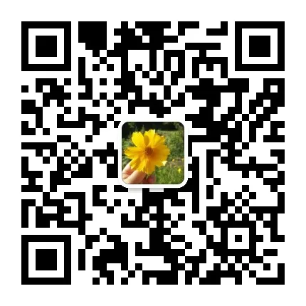 mmqrcode1592098738757