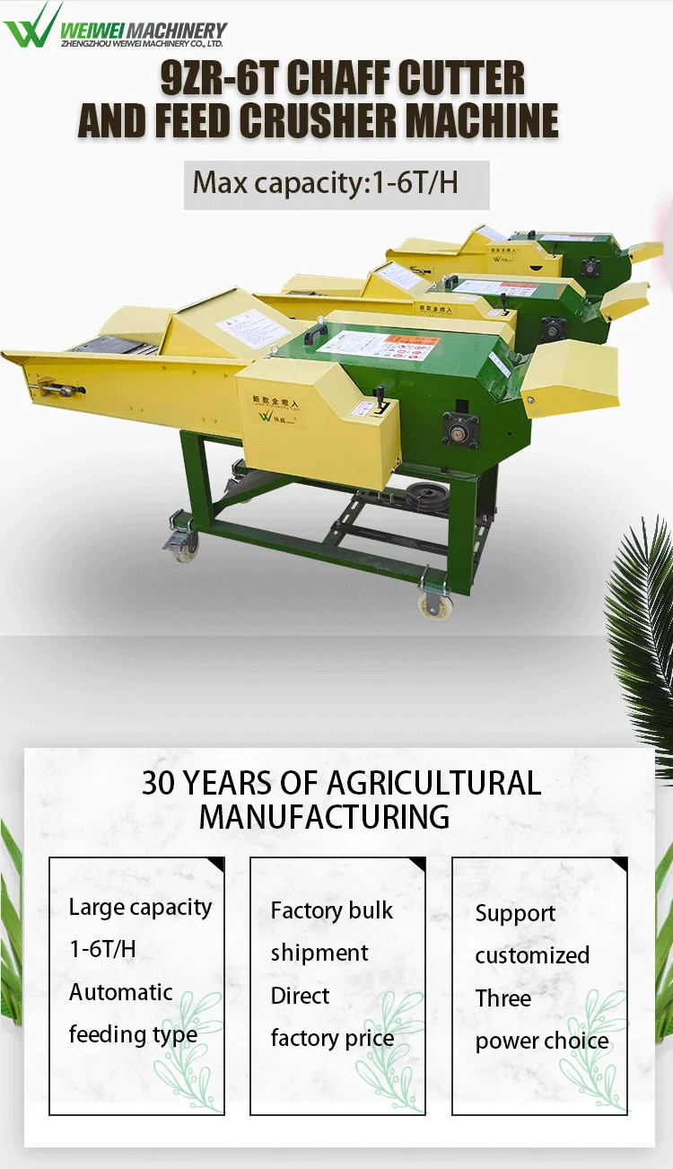 alfalfa hay pets at home