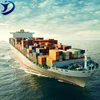 International logistics bulk shipping canada furniture cargo insurance from china hongkong ningbo yiwu
