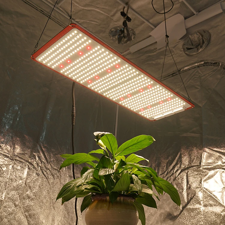 240W QB288 Board, LM301H + CREE XP-G3 660nm, newest led grow light, garden grow light