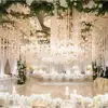 New Design Green White Drapes For Weddings Ceiling Drape