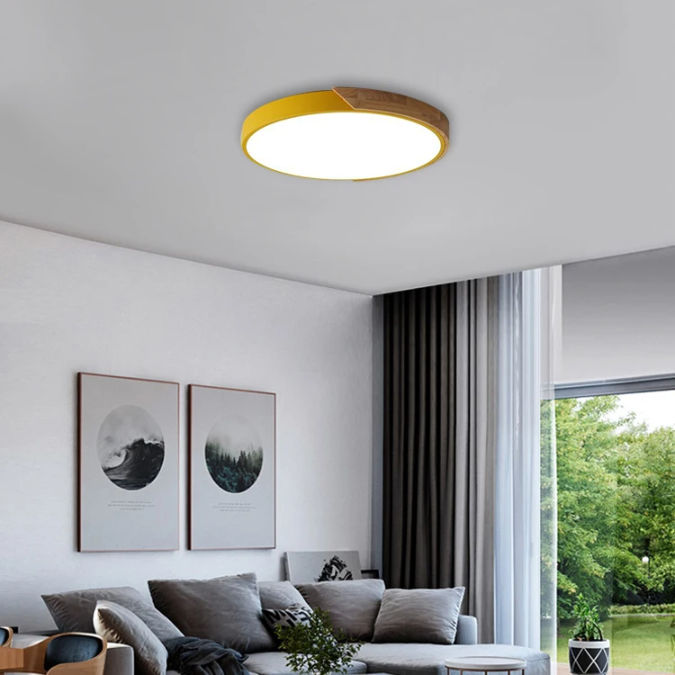 Colorful Indoor Decorative Round Modern Ceiling Light Led Living Room