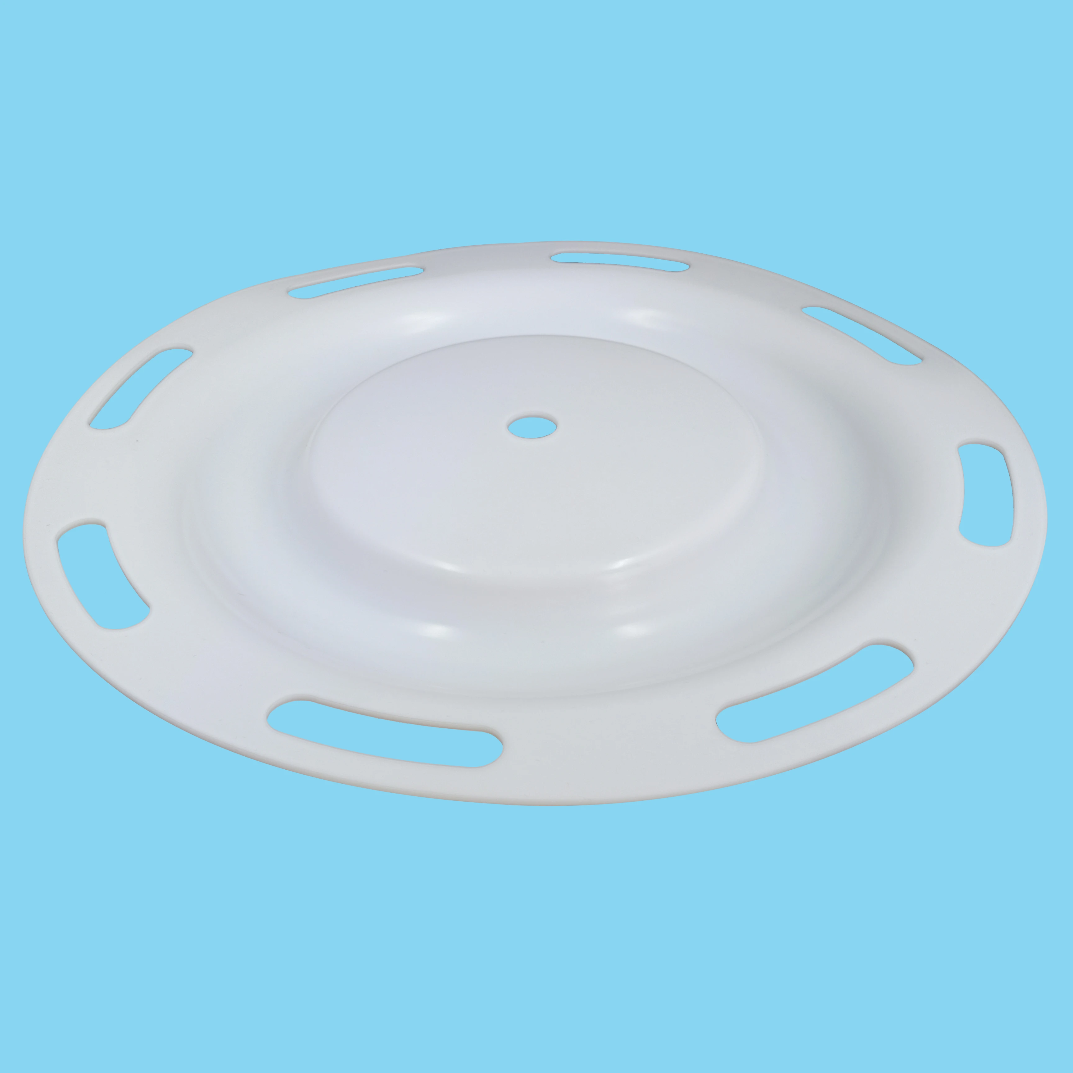 CF286-119-600 PTFE Diaphragm details