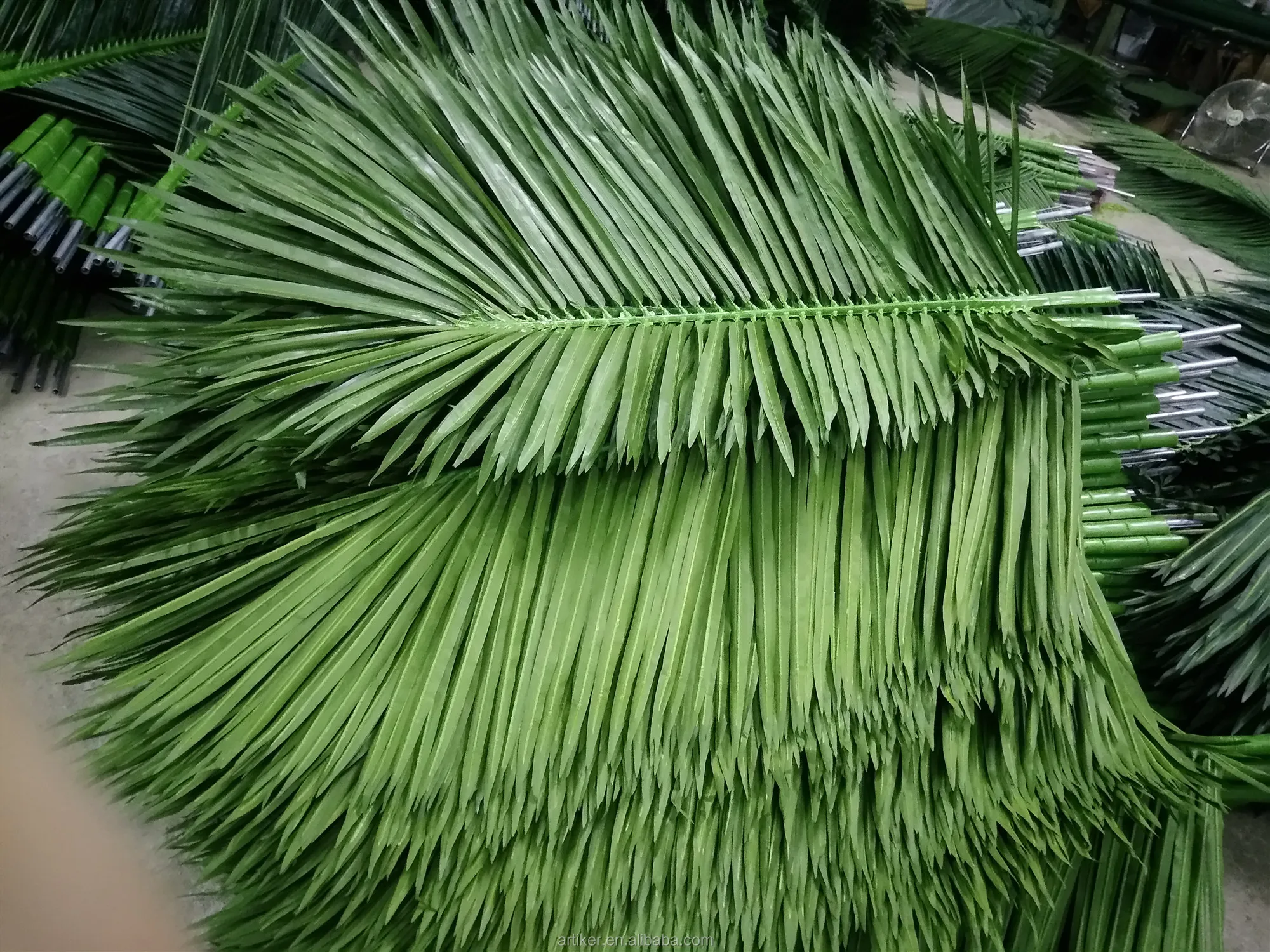 free-images-outdoor-branch-palm-tree-flower-food-jungle-produce