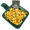 Hot Sale China supply freeze-dried sweet corn With Competitive Price