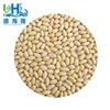 Export agriculture kraft paper bagshandong Round blanched peanut