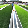 /product-detail/wholesale-playground-artificial-soccer-grass-chinese-manufacturer-football-turf-60566825861.html