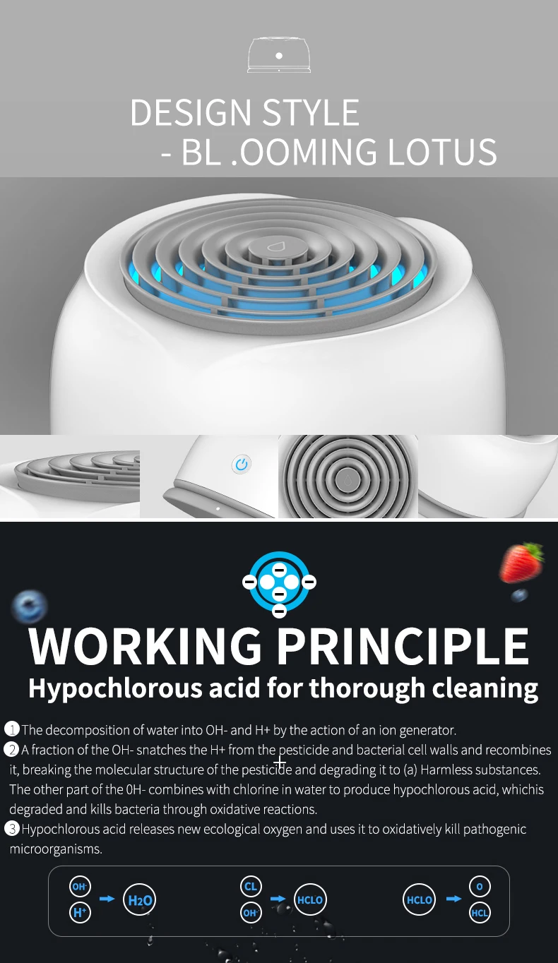 fruit washer C5-3.jpg