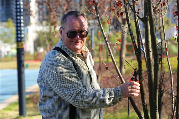Blade garden shears