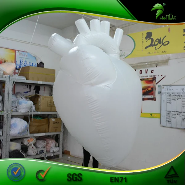 Large Inlfatable Medical Models Anatomical Heart Balloon - Realistic 3D Inflatable Model