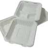 Disposable 9 inchbagasse bagasse food clamshell box compostable biodegradable tableware with three compatment