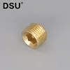 Male thread brass hex plug