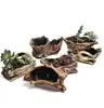 /product-detail/z771-cement-tree-root-mini-pastoral-flowerpot-succulents-basin-reusable-plant-flower-herb-pot-62340074993.html