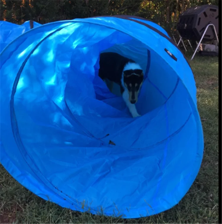 indoor or outdoor 3m activity tunnel for dogs NAYLOR Blue Full Non-Slip pop up agility tunnel for dogs