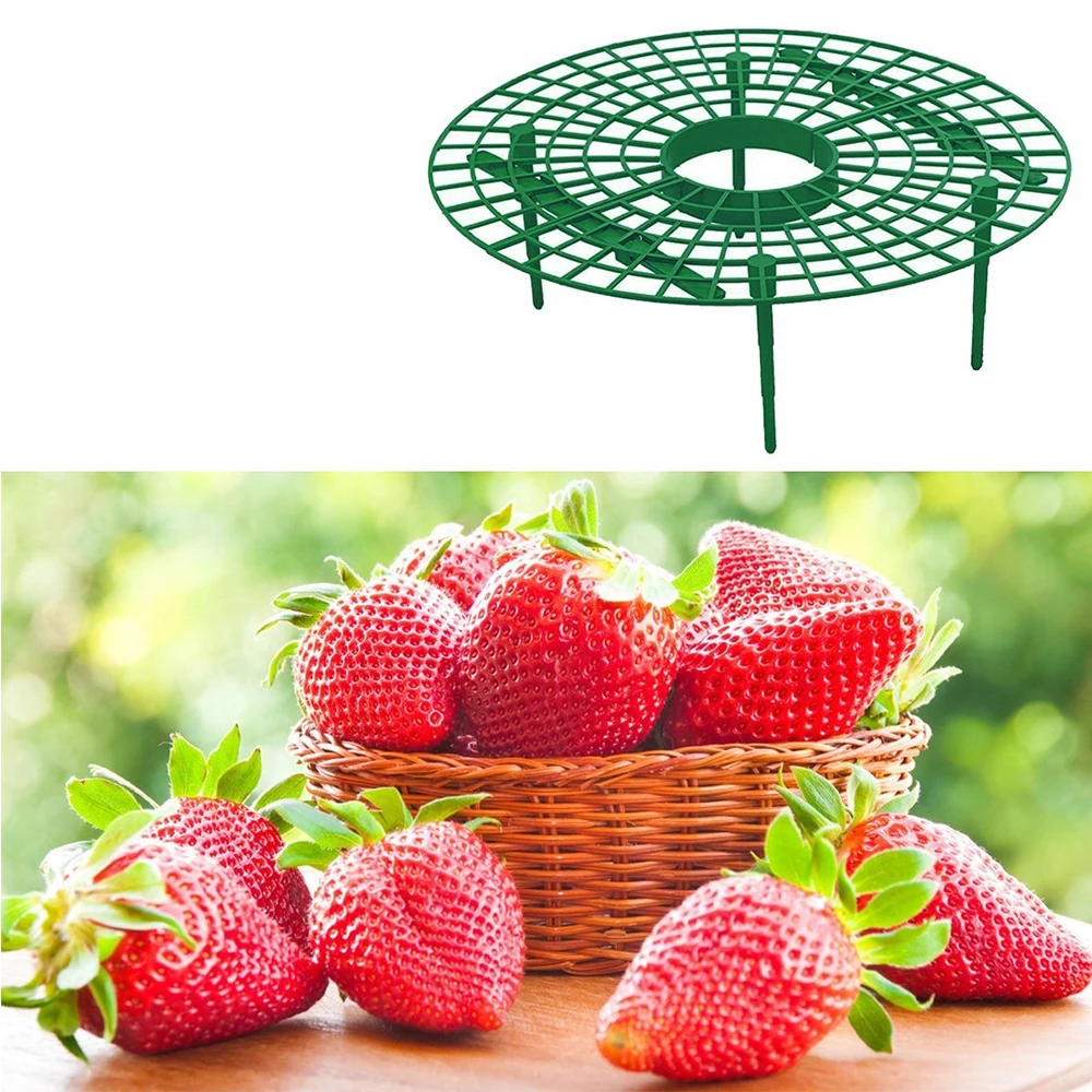 户外园艺使用草莓播种机托盘支持草莓种植