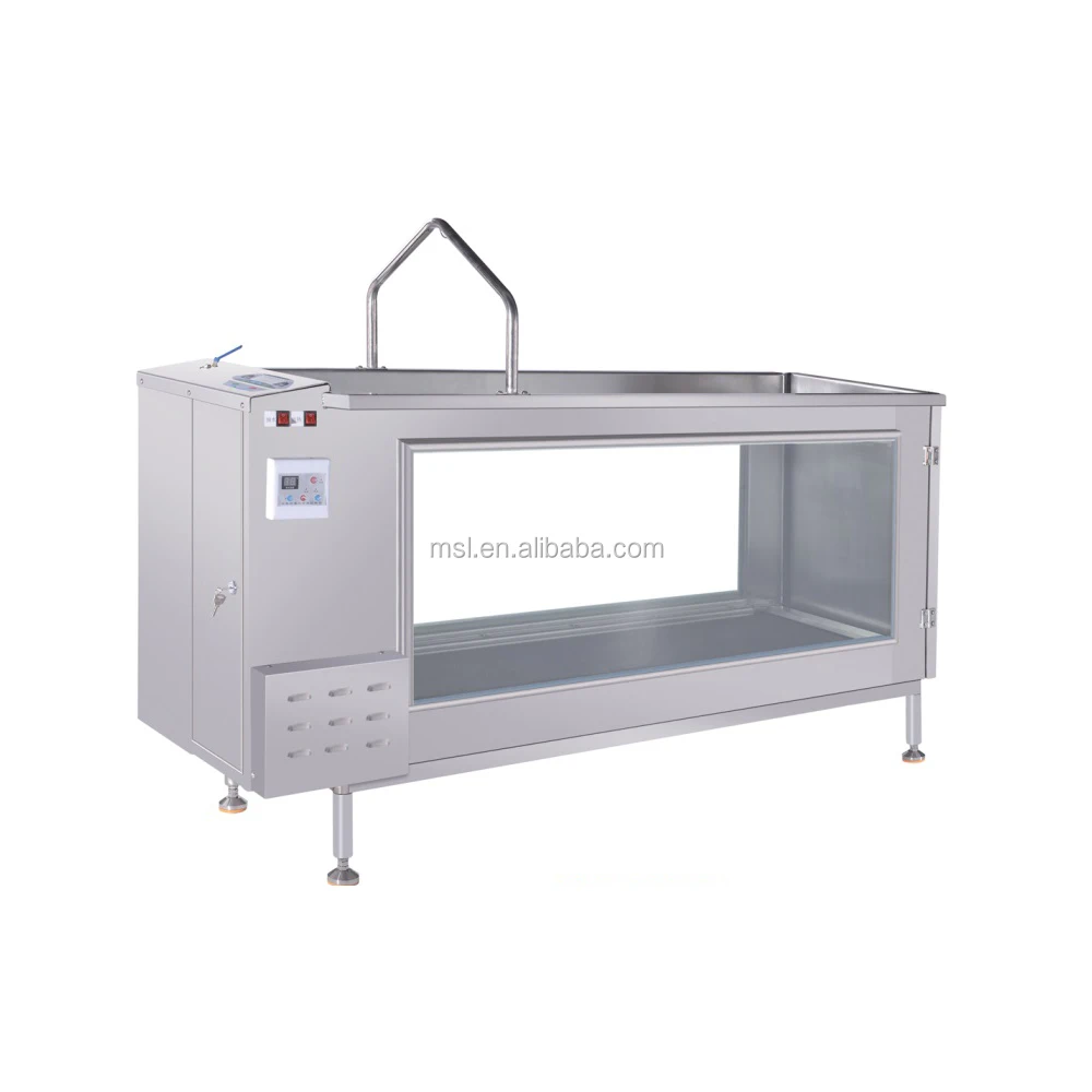 3hp Electric Under Water Treadmill For Dogs / Pet Treadmills For Cats