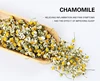 Chinese flower flavor tea products Chamomile tea