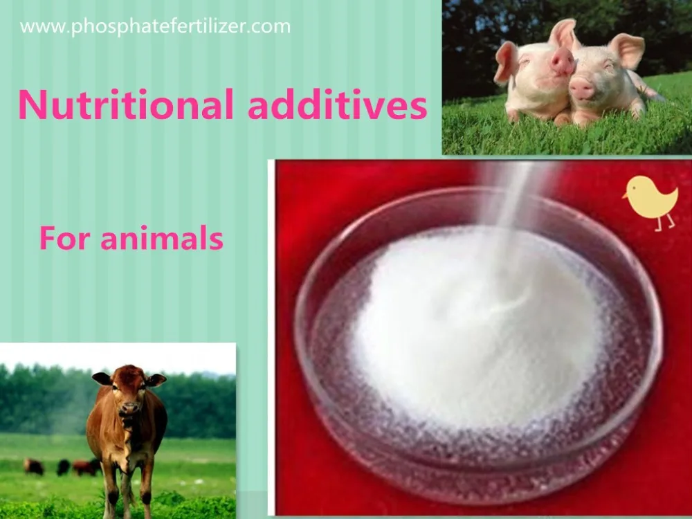 Best Grade Quality Protein Manganese Sulphate Mnso4 98 For Animal Feed