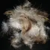 Washed Grey Duck Feather And Down 90%