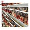 Newly developed shed breeding cage chicken layer cage