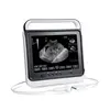Doppler veterinary touchscreen ultrasound machine for equine bovine test