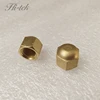 Brass Seal Cap,Brass Hex Cap dome Nut