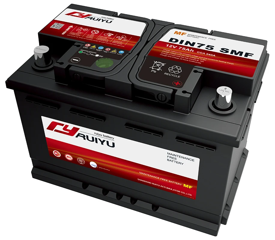 24 volt battery car