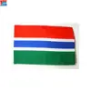 Hot Sell 3*5FT Polyester Gambia National Flag At Factory Price