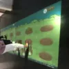 Magic image !interactive wall or floor obvious effects