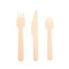 ECO-Friendly Flatware Sets Plastic Free Disposable Wood Spoon