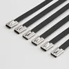 7.9mm Width Black PVC Coated Stainless Steel 316 Metal Cable Tie