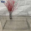 /product-detail/hot-dip-galvanized-wire-gabion-wire-livestock-farm-fence-netting-iron-wire-top-quality-from-china-factory-62071121199.html