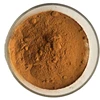 High quality pure nature astragalus polysaccharide powder