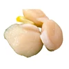 Japanese high quality frozen live shellfish with reasonable price
