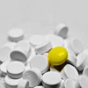 Popular Most Powerful Compound Plant Extract Powder sex pills for women