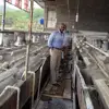 Gold Prospecting Equipment Good Flotation Cell Price Lead Zinc Separation Equipment for Copper Ore Nigeria Origin