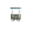 Hot Sale New Designed Gelato Display Showcase Customized 12 Pans Ice Cream Push Cart