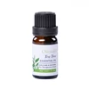 Factory price fresh pure tea tree essential oil bulk