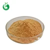 Factory Bulk Natural Green Tea Extract Powder