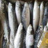 High Quality Frozen Layang Scad Whole Round