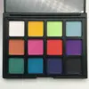 High pigment 12 color cosmetics make up eye shadow