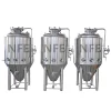 Small batch brewing fermenter with stainless steel