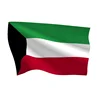 Low Price Wholesale National Flag Outdoor Hanging Custom 3x5ft Printing Polyester Kuwait Flags