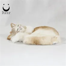 gatitos de peluche que respiran