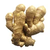 No Pesticide Residue Fresh Ginger From China