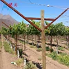 "Y" Shape Vineyard Open Gable Trellis Post