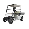 2 seater small electric golf cart with rear cargo bed at good price