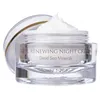 Private Label Anti Aging Dead Sea Minerals Cell Renewing Night Cream