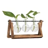 Home Garden Wedding Decor Retro Solid Wood Desktop Plant Terrarium Stand With Glass Bulb Vase