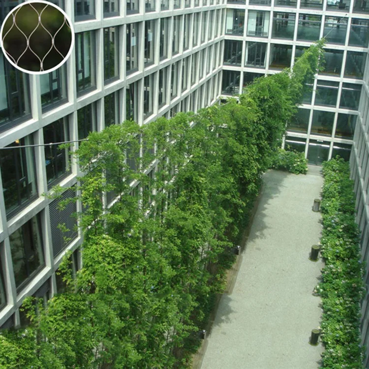 Stainless Steel Wire Rope Mesh/grape Trellis/plant Climbing Mesh Buy